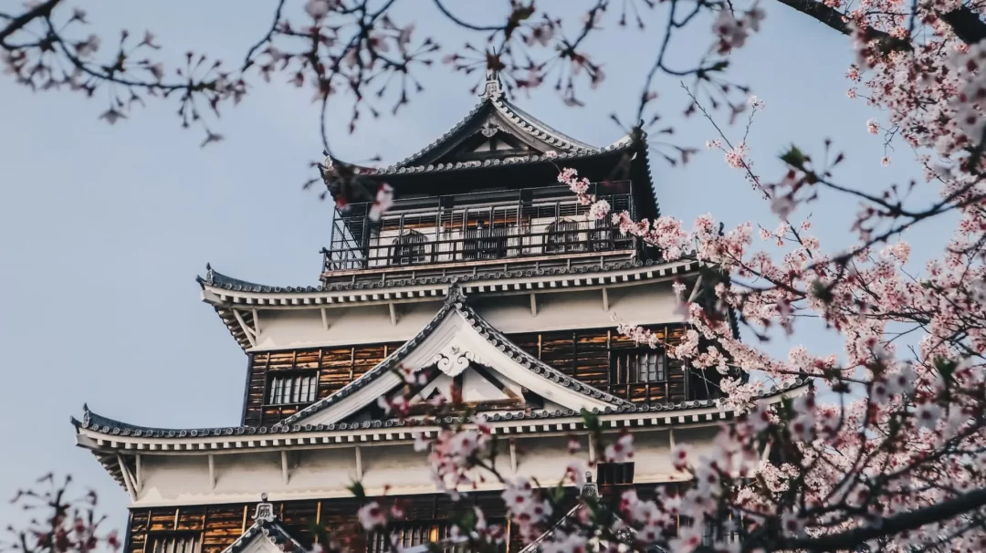 hanami di jepang